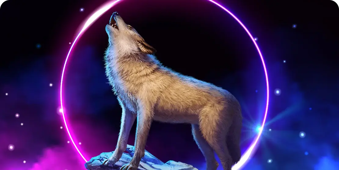 Prémios Que Fazem A Diferença No Highroller Bonus